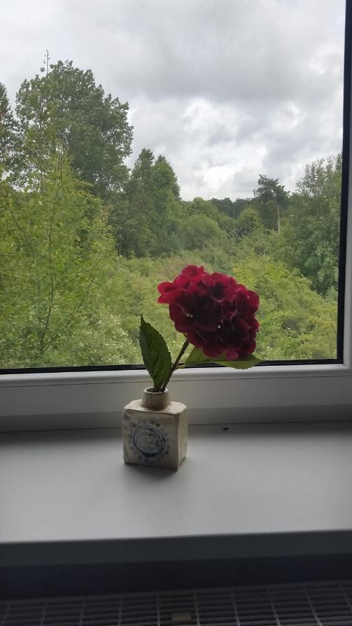 Guest House Gero Vejo Namai Klaipėda Eksteriør billede